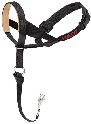 Halti Hundehalfter für Hundetraining, Größe 4, Schwarz, gepolstert