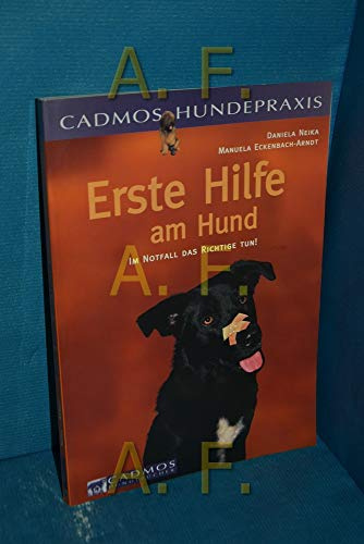 Erste Hilfe am Hund: Im Notfall das Richtige tun