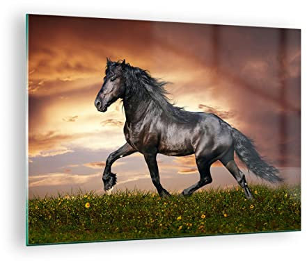 Bilder auf Glas Pferd Tier Wiese Glasbild 70x50cm Wandbilder Dekoration Wohnzimmer Schlafzimmer Küche Deko Klein Wanddeko Bild im Glas Wand Kunstdruck Art Modern Wall Decor Glasdruck GAA70x50-2608