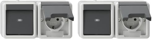 GIRA 417730 Kombination Wippschalter/SCHUKO-Steckdose 16 A 250 V~ waagerecht mit Klappdeckel Universal-Aus-Wechselschalter, Grau (Packung mit 2)