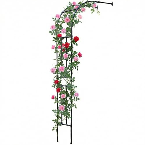 TRAGLO Arche de Jardin Demi-latérale en Métal pour Plantes Grimpantes, Arceau À Rosier Hauteur 240cm, Arche de Jardin en Treillis Idéale pour Les Rosiers, La Terrasse Ou La Cour(240x240cm)