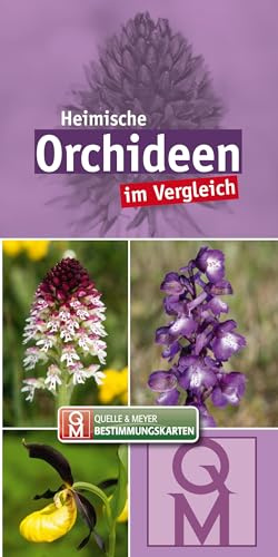 Heimische Orchideen im Vergleich: 10er-Set (Quelle & Meyer Bestimmungskarten)