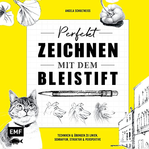 Perfekt zeichnen mit dem Bleistift: Techniken & Übungen zu Linien, Schraffur, Struktur & Perspektive