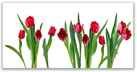 Tulup Acrylic Glass Print 120x60cm Wall Art - Wall Picture Plastic Acrylic Glass - Tulips Floral