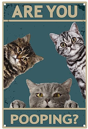 CREATCABIN Katzenschild Vintage-Metallblechschild Wanddekoration Retro-Gemälde Poster Plakette Eisendekoration Kunstwandgemälde Zum Aufhängen Geschenk Für Bar Restaurant Zimmer Café Pub Club 30x20cm