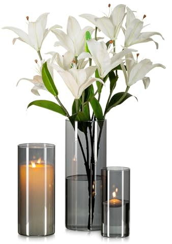 Glasseam Grey Large Glass Vase: 3Pcs Modern Cylinder Vases for Flowers Living Room Table Decorations Centrepiece - Hurricane Vases for Decor Roses Tulip Pampas Decorative Candle Holders (15/20/25cm)