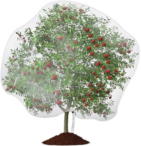 Fippy Filet de protection pour grands arbres fruitiers de 300 x 300 cm avec fermeture éclair, filet de protection pour jardin contre les insectes et les oiseaux pour les arbustes à myrtilles, les