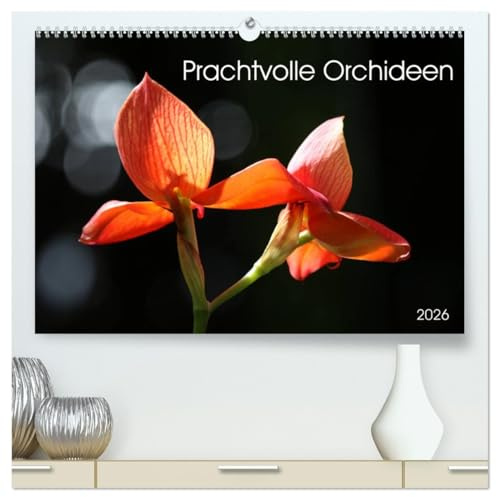 Prachtvolle Orchideen (hochwertiger Premium Wandkalender 2026 DIN A2 quer), Kunstdruck in Hochglanz: Tropische Schönheiten (CALVENDO Natur)