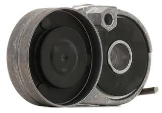 INA 534 0116 20 Spannarm Keilrippenriemen Kompatibel mit VW PASSAT Variant 3B6 078903133AB 078903133B 078903133Q