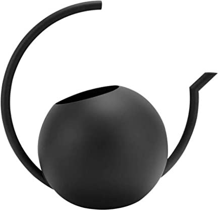 CTCOIJRN Regadera con Boquilla Larga Negra, regadera pequeña, Tetera de riego de Acero Inoxidable for jardinería de Metal Retro for Plantas de casa