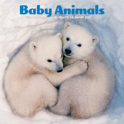 Baby Animals Mini Calendar 2027, Wall Calendars, Month To View, Gift