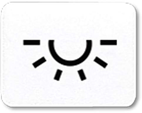 Jung Symbol aws LICHT 33 L WW