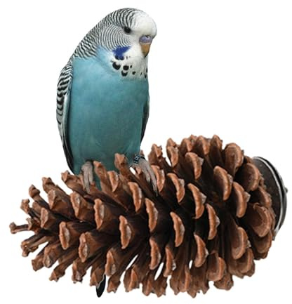 Cône de pin de support de perche, support de perroquet, perche d’oiseau | pomme de pin, accessoires de cage d’oiseau, à mâcher de perroquet, bâton de meulage de patte, [Android] [Android]
