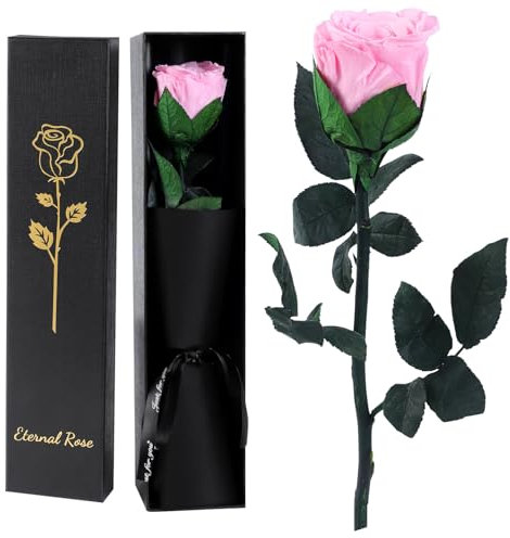 FRFG Rose Eternelle Infinie Rouge avec Tige, Cadeau Anniversaire Femme, Rose Stabilisée Rouge, Amour Cadeau, Fete des Meres, Noël, Saint-Valentin (Rose)