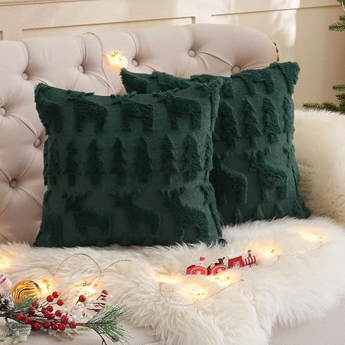 TOCOMOA 2er Set Kissenbezug 50x50 Grün, Flauschig Zierkissen Kissenbezüge in Wolle, Frühling Plüsch Sofakissen Zierkissenbezug, Kissenhülle aus Polyester, Dekokissen Bezug für Sofa Schlafzimmer