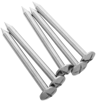 Didiseaon 5 pièces Repères Arpentage Permanents Acier Inoxydable Lot de Pointes de Jardin Robustes pour Contrôle Observation et Marquage Précis des Limites de Propriété