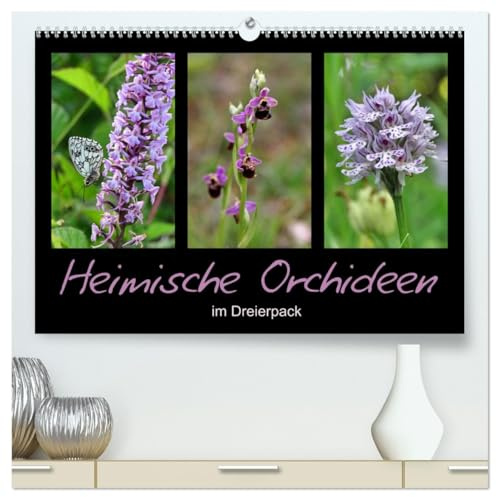 Heimische Orchideen im Dreierpack (hochwertiger Premium Wandkalender 2026 DIN A2 quer), Kunstdruck in Hochglanz: Zart, zierlich, zauberhaft (CALVENDO Natur)