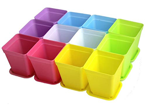 WARMBUY Colorful Small Plant Flower Plastic Pots with Saucers, Set of 12