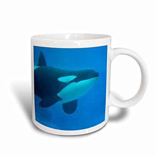 Taza De Café Personalizada Tazas De Desayuno 330Ml, Orca Asesina Submarina Azul Tazas De Cerámica Impresa Para Café Y Té Desayuno Cocina