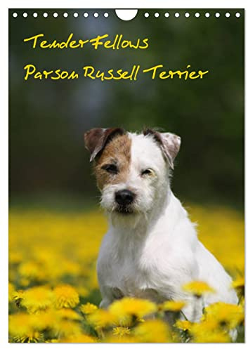 Tender Fellows - Parson Russell Terrier (Wandkalender 2026 DIN A4 hoch), CALVENDO Monatskalender: Unsere fröhliche Terrierbande hat auch in 2017 viel erlebt. (CALVENDO Tiere)