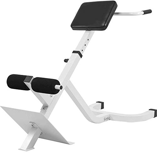 GORILLA SPORTS® Rückentrainer - 5-fach Verstellbar, bis 120 kg, mit Beinfixierung, Schwarz/Weiß - Rückenstrecker Gerät, Hyperextension Bank, Bauchmuskeltrainer, Bauchtrainer für Zuhause (Weiß)