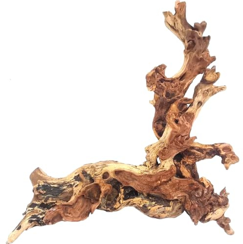 Hamiledyi Aquarium Driftwood, Natural Large 7-15in Coral Driftwood for Aquarium Decor Reptile Tank Decor Terrarium Ornament Wood Branch Trunk Stump for Fish Betta Lizard