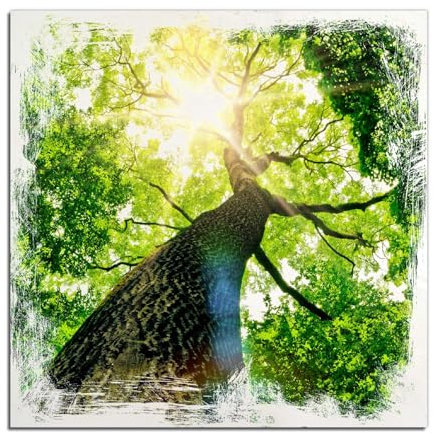 Wallario Wandbild aus Holz Laubbaum aus der Froschperspektive - 50 x 50 cm in Premium-Qualität: Brillante Farben
