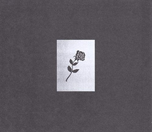 Matador/Beggars Group / Indigo