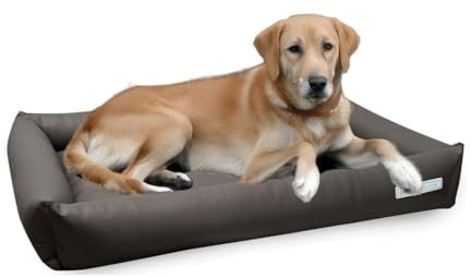 dogsfavorite, Hundebett Starter Visco aus Kunstleder, Hundekissen, orthopädisch, 110 x 80 cm, Taupe