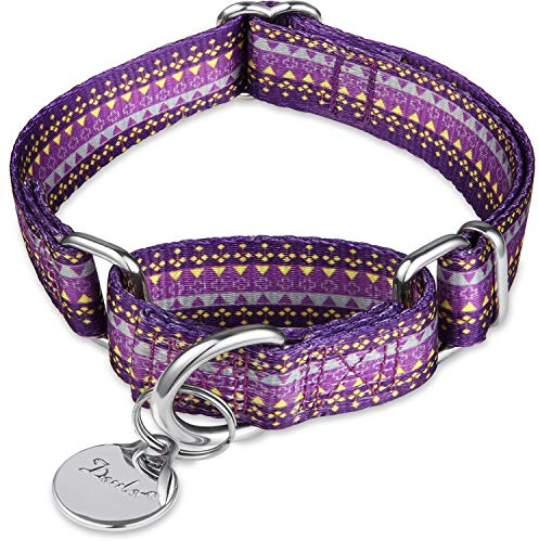Dazzber Martingal Halsbänder für Hunde, Einstellbar-Heavy Duty- Weiche-Glatte-Leichtes Gehen Sie den Hund für Große/Klein Hunde (Mittlere, 2.5cm Breit, Dunkelviolett)