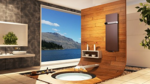 Badheizkörper Design Mirror Steel 2, HxB: 120 x 47 cm, 799 Watt, braun + 1 Handtuchhalter hochglanz (50mm) (Marke: Szagato) Made in Germany/Bad und Wohnraum-Heizkörper (Mittelanschluss)