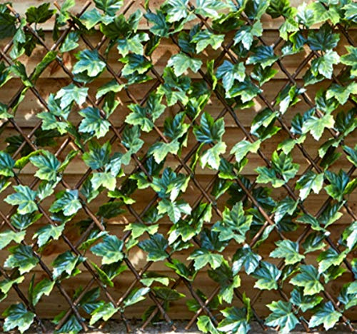 Smart Garden Products Ahornblatt Weideholz Spalier 180x90cm