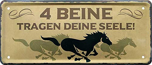 schilderkreis24 - Lustiger Spruch “4 Beine tragen deine Seele!“ Deko Pferd Reiten Geschenkidee Pferdebesitzer Pferde Fans 28x12 cm