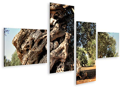 islandburner Bild auf Leinwand Alter Olivenbaum Im Garten Natur Leinwandbild Wandbild Prime Bilder für Wohnzimmer etc.