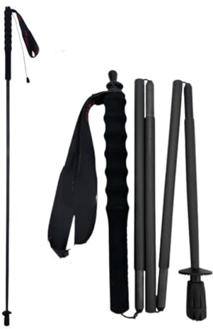 Trekkingstöcke City-Spazierstöcke - Leichtgewichtige 5-teilige Faltstöcke aus Kohlefaser for Wandern, Laufen, Klettern(2pcs 110cm)