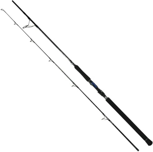 HolyCatch® Spinnrute aus Carbon – Angelrute für Hecht, Zander & Wels – Extra Starkes Rückgrat, weiche Spitzenaktion, salzwasserfest – Ideal für Weite Würfe & präzises Spinnfischen (2,70m)