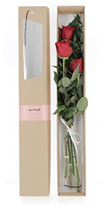 KENTIS - Rose Rosse in Elegante Confezione Regalo - Fiori Veri Freschi a Domicilio con Biglietto Personalizzato Idea Regalo Donna San Valentino Anniversario