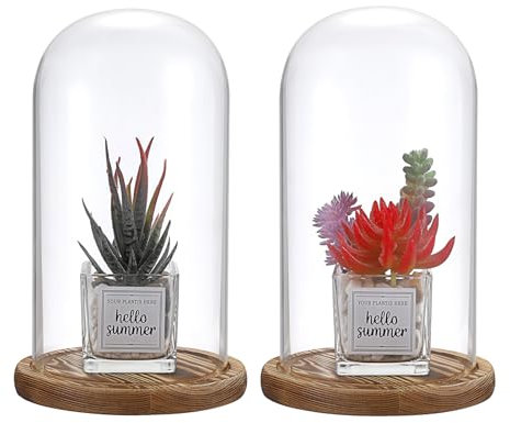JUXYES Pack of 2 Glass Display Dome Cloche with Solid Wood Base, Clear Dome Bell Terrarium Jar Glass Cloche Bell Jar Display for Plants Collectible Figure