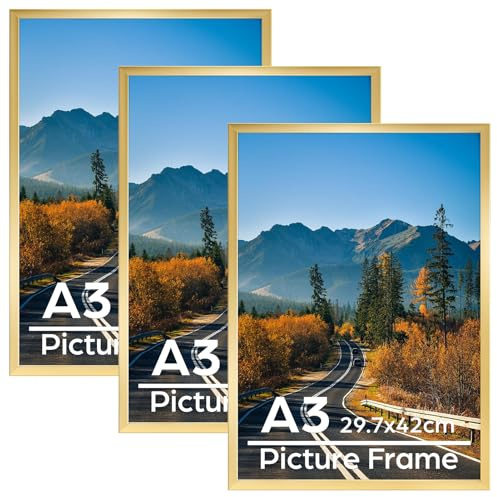 Vasemouh Bilderrahmen A3 (29,7x42cm), 3er-Set in Goldene - Posterrahmen für Wandmontage und große Dokumente