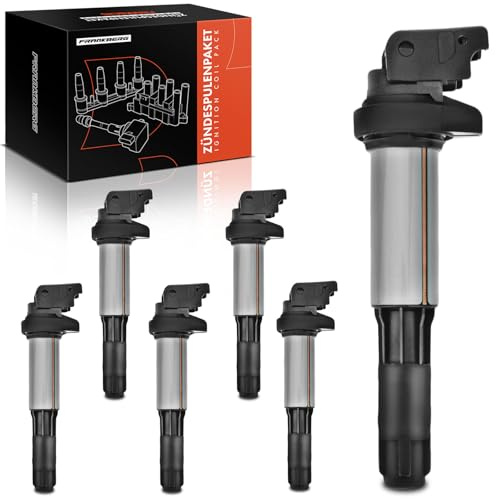 Frankberg 6x Zündspule Zündmodul 12137594937, 0221504470 | Kompatibel mit 3er Coupe E46, 3er Cabriolet E46, 3er Touring E91, 5er Touring E39, X1 E84, M.i.n.i Cabriolet R57