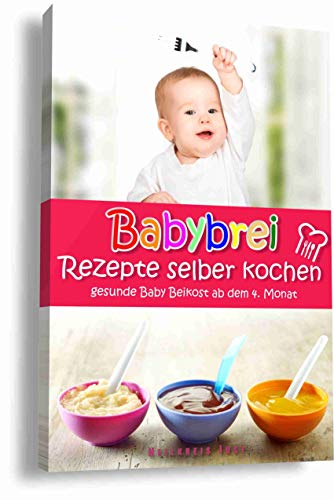 Babybrei Rezepte selber kochen gesunde Baby Beikost ab dem 4. Monat: Ein Babybrei Kochbuch für gesunde Baby Beikost