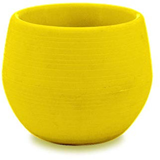 Macetero Cactus Plantas Macetas Para Cactus Maceteros Pequeños Colorido Mini Plástico Maceta Maceta Suculenta Maceta Flor De Oficina Decoración De Oficina Amarillo Rojo Azul Verde Blanco Estilo Clásic