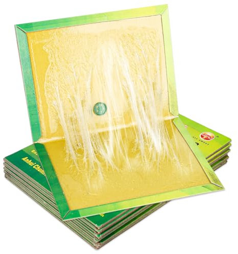 Generico Trappole Adesive Professionali per Parassiti e Insetti (5 Pezzi)