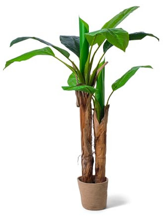 FRANKYSTAR Bananenbaum - Künstliche Pflanze im Topf H160 cm