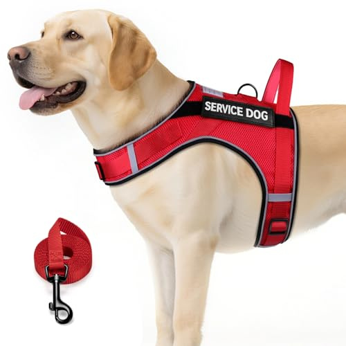 FAYOGOO Service-Hundeweste für große Hunde, luftdurchlässig, atmungsaktiv, emotionale Unterstützung, Tierweste mit abnehmbaren Flicken, Hundegeschirr und Leine, verstellbar, Hals und Brust, Rot, Größe
