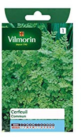 Vilmorin - Sachet graines Cerfeuil commun