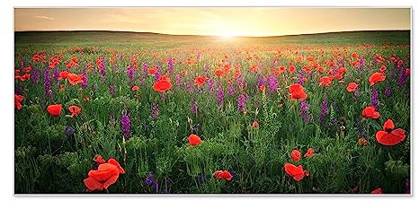 banjado Magnettafel weiß 78 x 37cm / Magnetwand Metall/Magnetpinnwand als Memoboard/Pinnwand Magnettafel Küche, Büro, Kinderzimmer inkl. 4 Magnete & Montageset - Motiv Sommerfeld