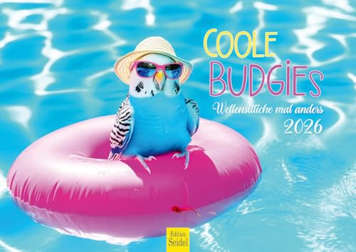 Edition Seidel Calendario premium 2026 Cool Budgies, formato DIN A3, calendario de pared, calendario de animales, con divertidos refranes, animales, pájaros, periquitos, humor