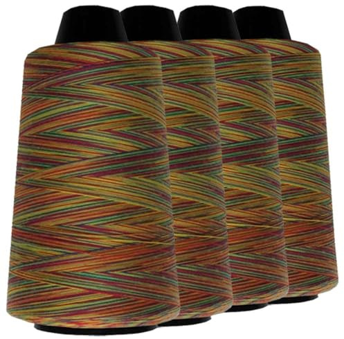 Schneidereibedarf Werner Multicolor Overlock-Nähgarn/Overlockgarn, 100% Polyester, 40/2 Stärke, 3.000 Yard (2.743 Meter), für alle Stoffe (4, A)