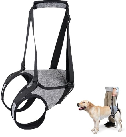 Tragehilfe Hund Groß, Tragehilfe Hund Hinterbein s, Dog Back Leg Support, Dog Carrying Aid, Verstellbares Hundegeschirr für Hinterbein, für Ältere, Behinderte Und Behinderte Hunde. (M)